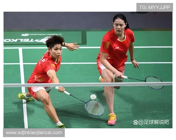 南京羽毛球队在冠军赛中的实力展现与战术分析